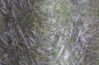 Walrow fibreglass roof work