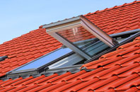 Walrow roof window
